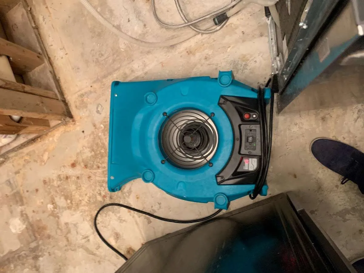 Air mover drying equipment for Mold Remediation & Removal in Terrell Hills